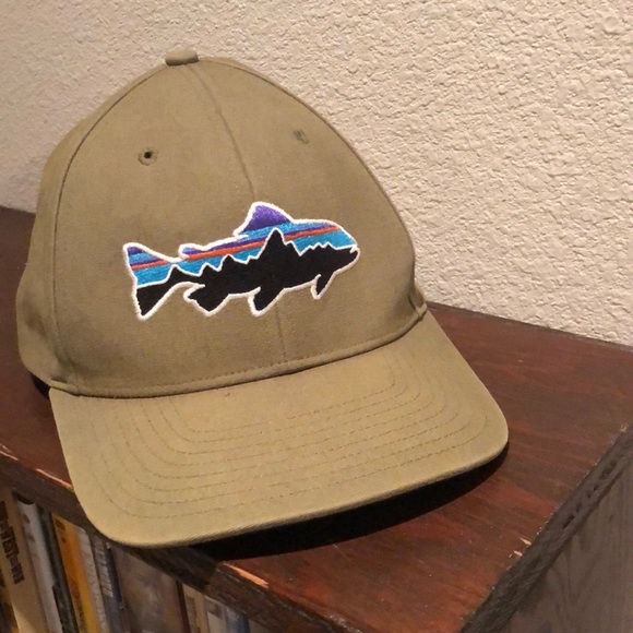 Patagonia Other - Patagonia Fitz Roy Trucker Hat